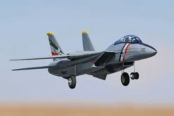 F14 TOMCAT TWIN - 762mm BNF STABILIZZATO