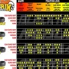 NOVA SUPER SOFT- 1:8 BUGGY - 2 PEZZI