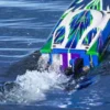 SPARTAN SR - MOTOSCAFO BRUSHLESS TSM - VERDE