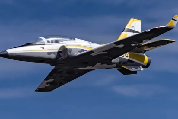 VIPER EDF - 70mm / 1072mm BNF STABILIZZATO